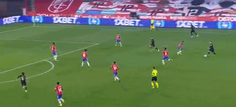 厄德高：实现晋级世界杯的目标意义重大；我迫不及待想要回归